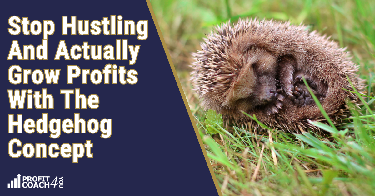 Using the Hedgehog Concept To Beat Hustle And Actually Grow Profits