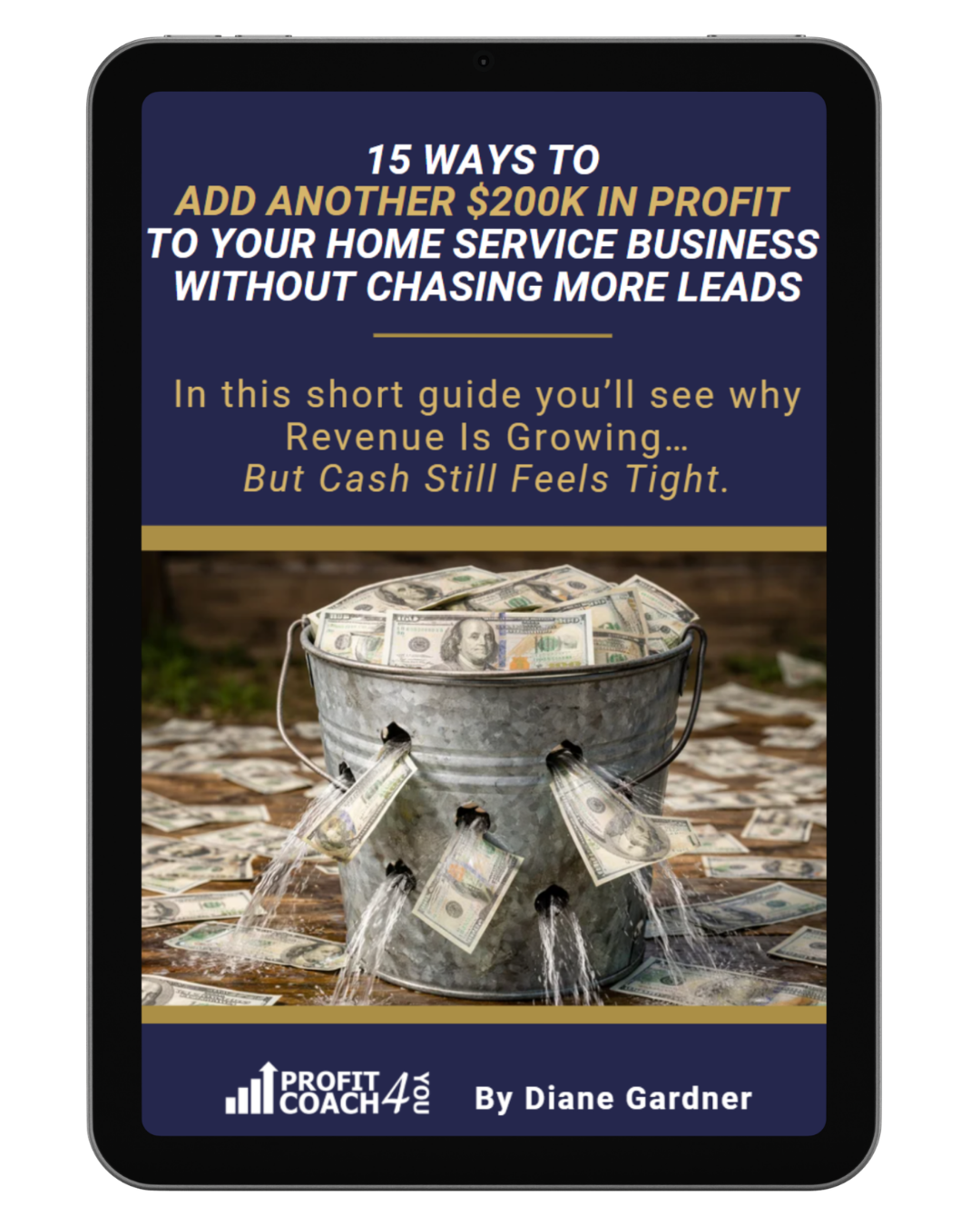 Ebook Cover with Text "Your Path to Profits by Diane Gardner, Your Profit & Tax Coach"